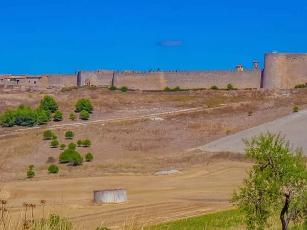 Medina de Rioseco, Urueña y Toro